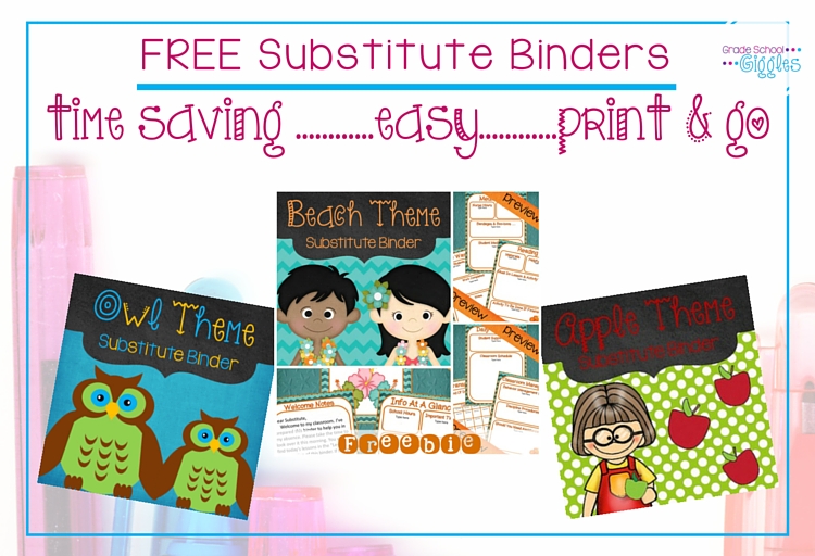 If you’re a teacher you probably know the pain of having too much paperwork, but you should never have to feel like you’re drowning in it. Grab a free substitute binder and check out seven simple tips that will help you to develop a management system to organize all of your classroom paperwork so you can stay on track. 