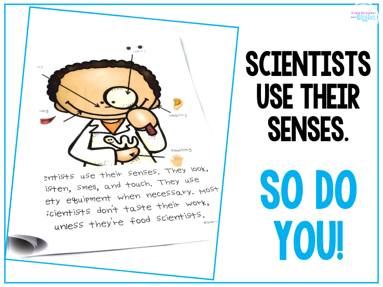 Scientists use their senses. So do you!