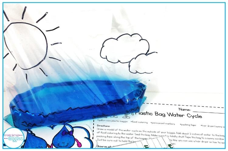 Observe The Water Cycle In A Bag
