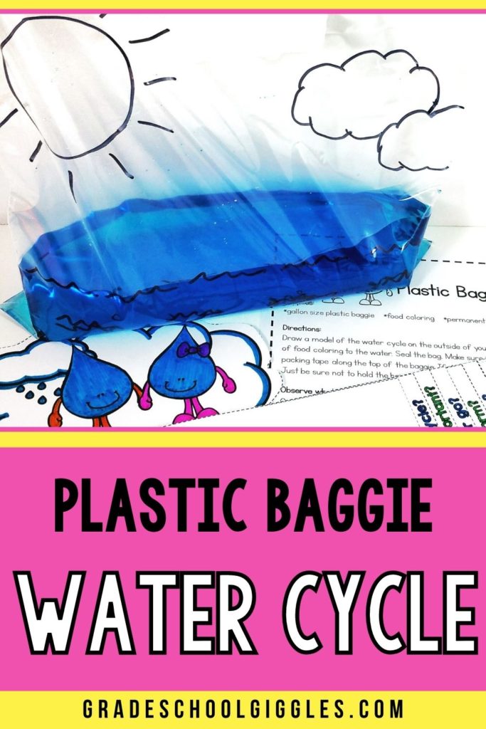 Make the water cycle in a baggie