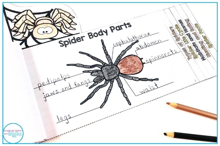 Themes for October - A Nonfiction Mini-Book About Spiders