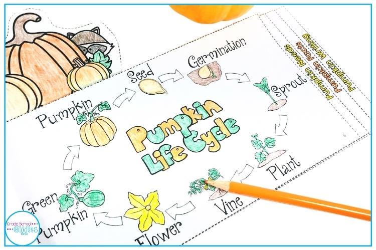 Themes for October - A Nonfiction Mini-Book About Pumpkins