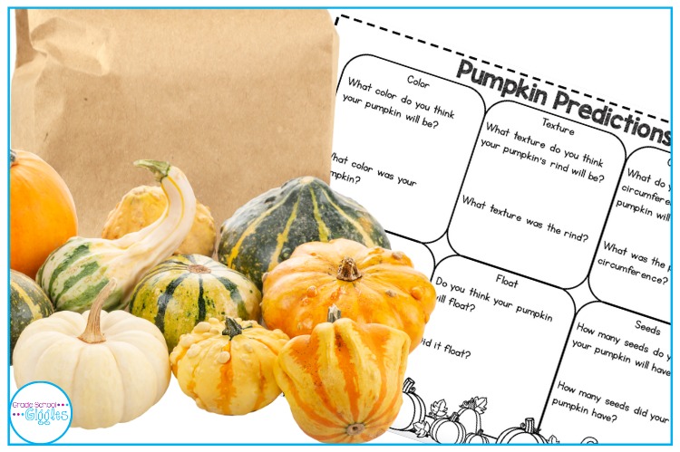 Free printable pumpkin prediction activity