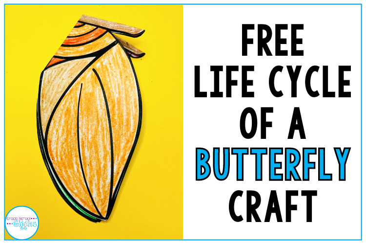 Free Life Cycle of a Butterfly Craft For Kids