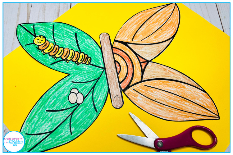 Free Life Cycle of a Butterfly Craft For Kids
