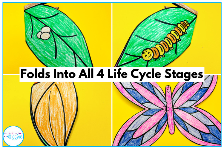 Free Life Cycle of a Butterfly Craft For Kids