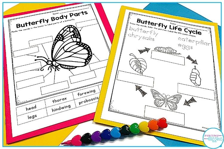 Free Butterfly Life Cycle Cut And Paste Worksheets