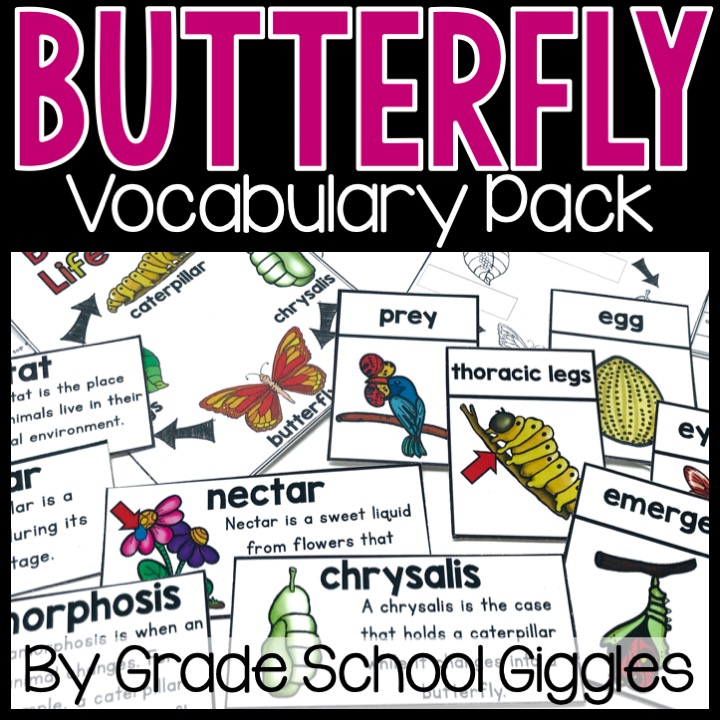 Butterfly Vocabulary Pack