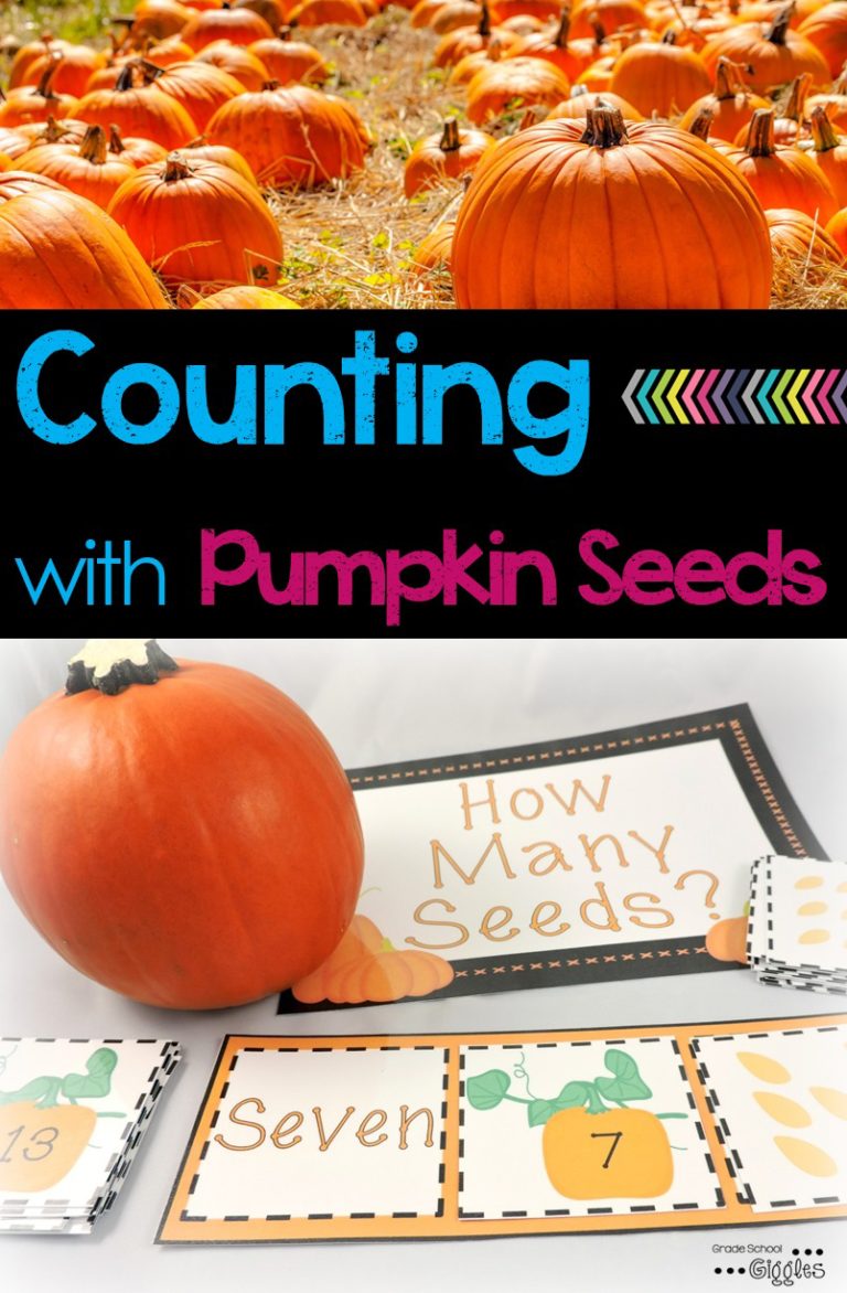 Check Out This Pumpkin Seed Counting Freebie