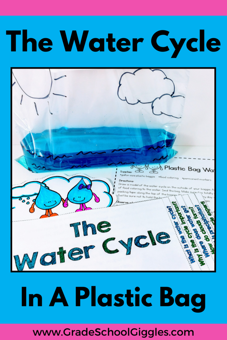 The Water Cycle In A Baggie – An Easy Science Project