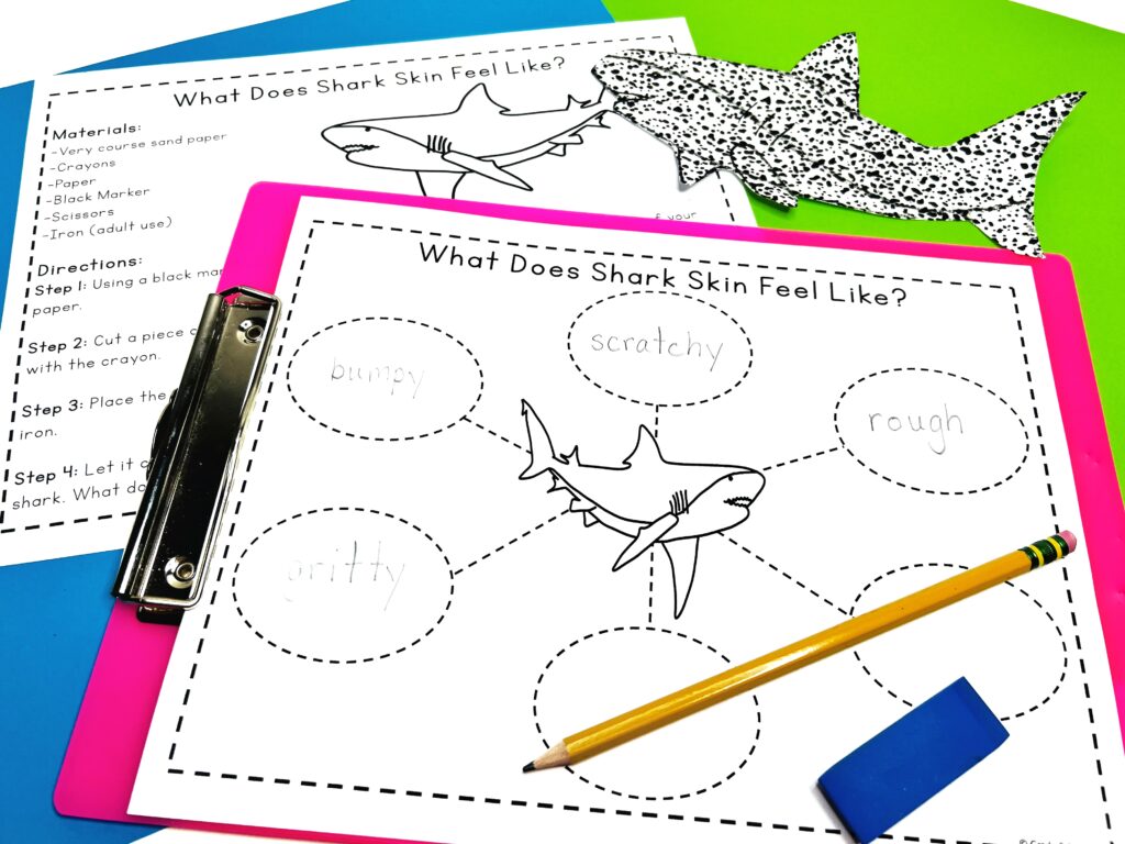 A graphic organizer and craft directions for shark skin craft activity