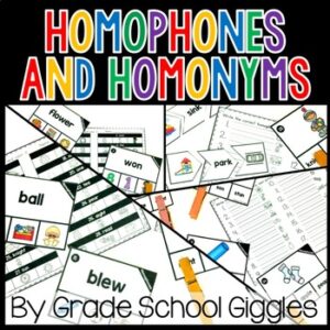 Trick Word Practice Activities Homophones Double Meaning Words 2nd 3rd 4th Grade