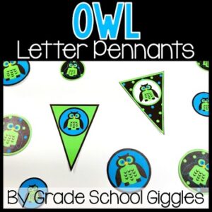 Teacher Name Banner, Desk Banner, Printable Door & Wall Decoration, Owl Banner