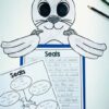 Animal Research Project 1st 2nd 3rd Grade: Seal Craft, Animal Information Report - Image 3