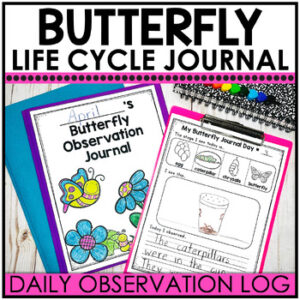 Butterfly Life Cycle Observation Journal Caterpillar To Butterfly Worksheet Book